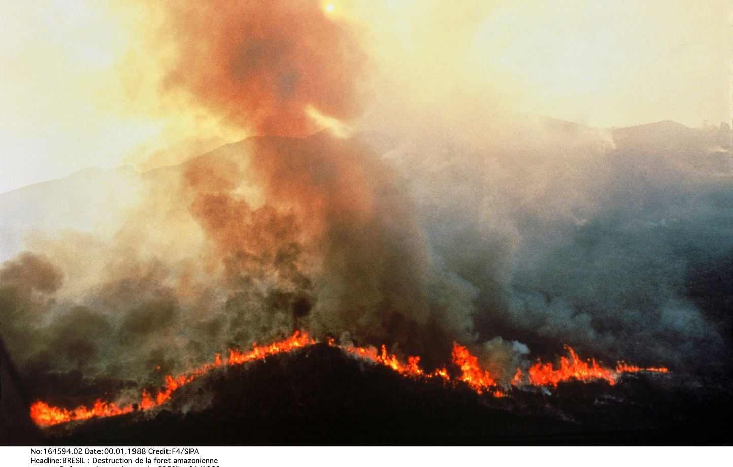 Los incendios en la Amazonia caerán a su mínimo histórico en 2025 Los incendios en la Amazonia caerán a su mínimo histórico en 2025